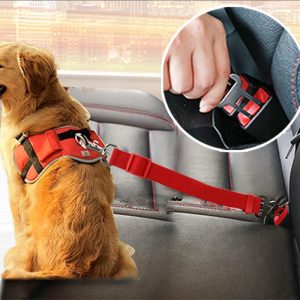 Auto Gordel voor Honden